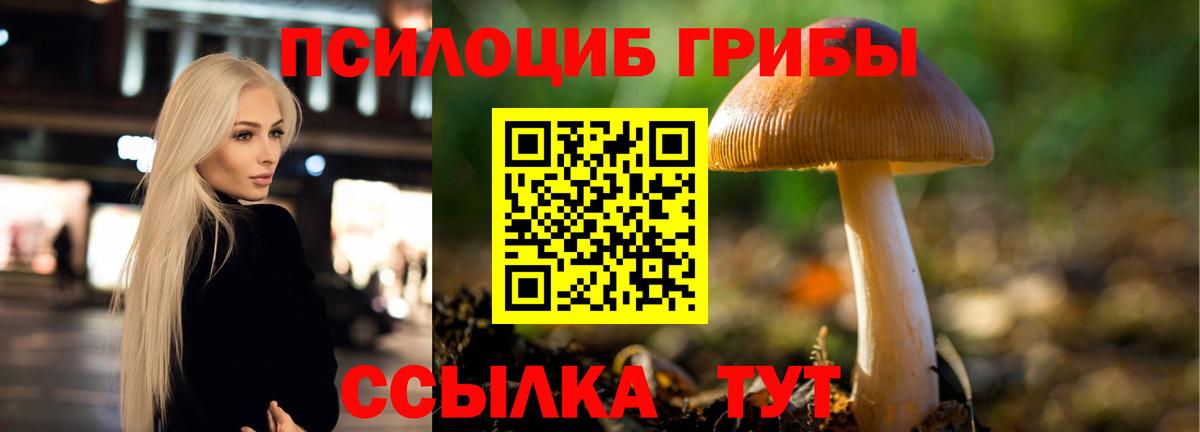 Псилоцибиновые грибы MAGIC MUSHROOMS  Вход с VPN  Галлюциногенные грибы Psilocybe  Соликамск 